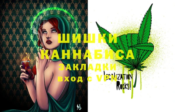 PSILOCYBIN Абаза