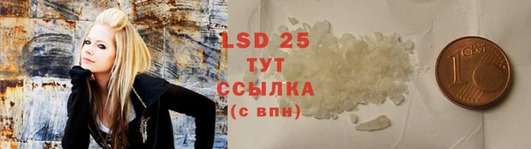 PSILOCYBIN Абаза