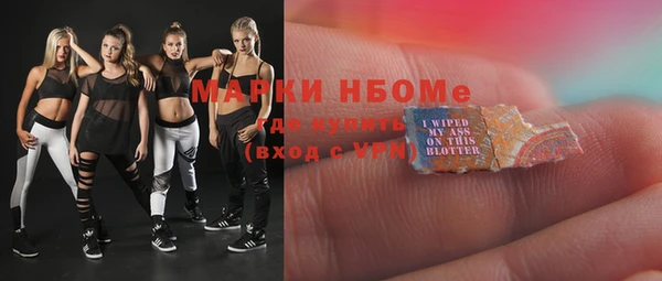 индика Абинск