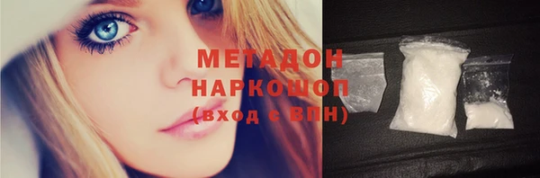 индика Алексин