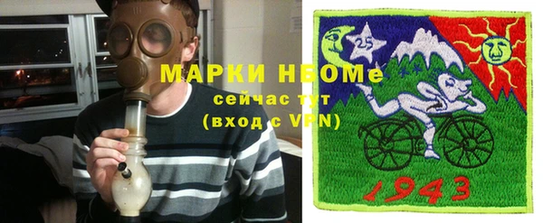 индика Осташков