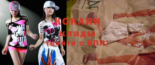 индика Абинск